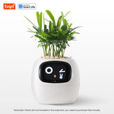 IvySmart Planter