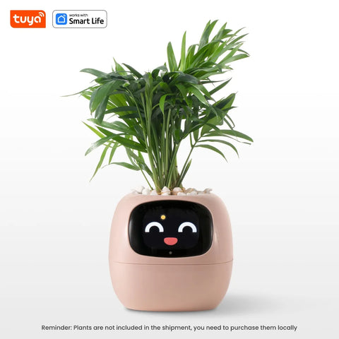 IvySmart Planter