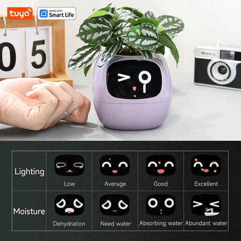 IvySmart Planter