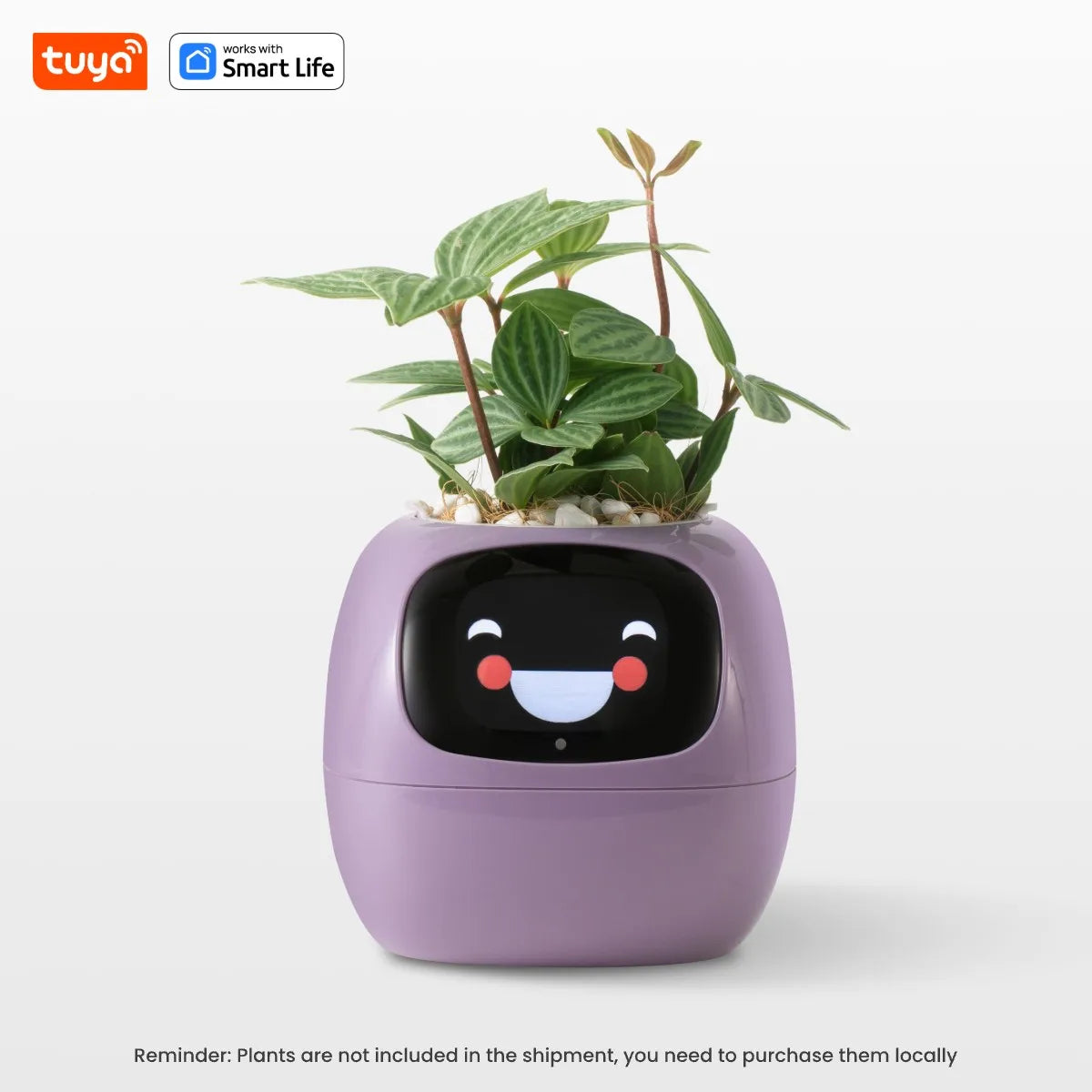 IvySmart Planter