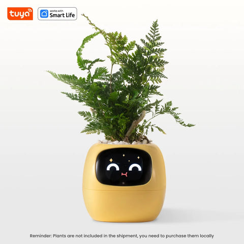 IvySmart Planter
