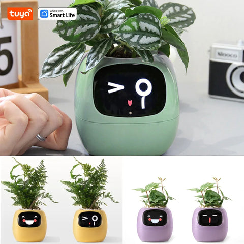 IvySmart Planter
